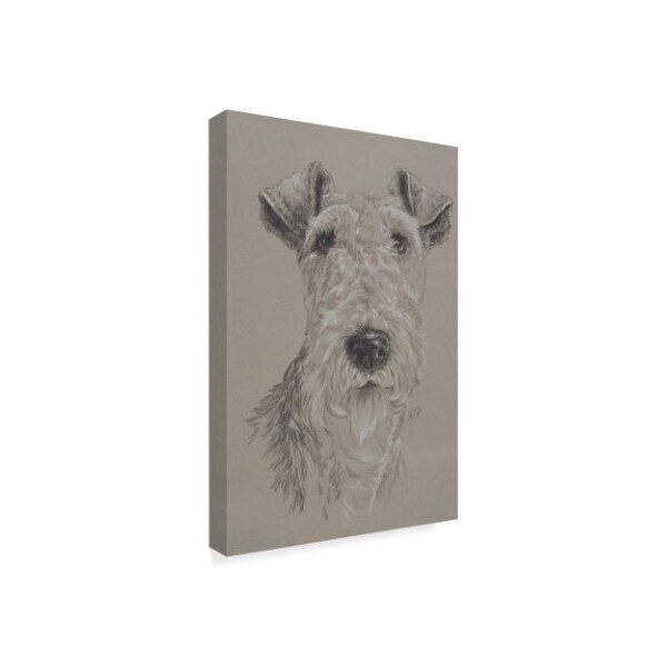 Barbara Keith 'Wire Fox Terrier' Canvas Art,16x24